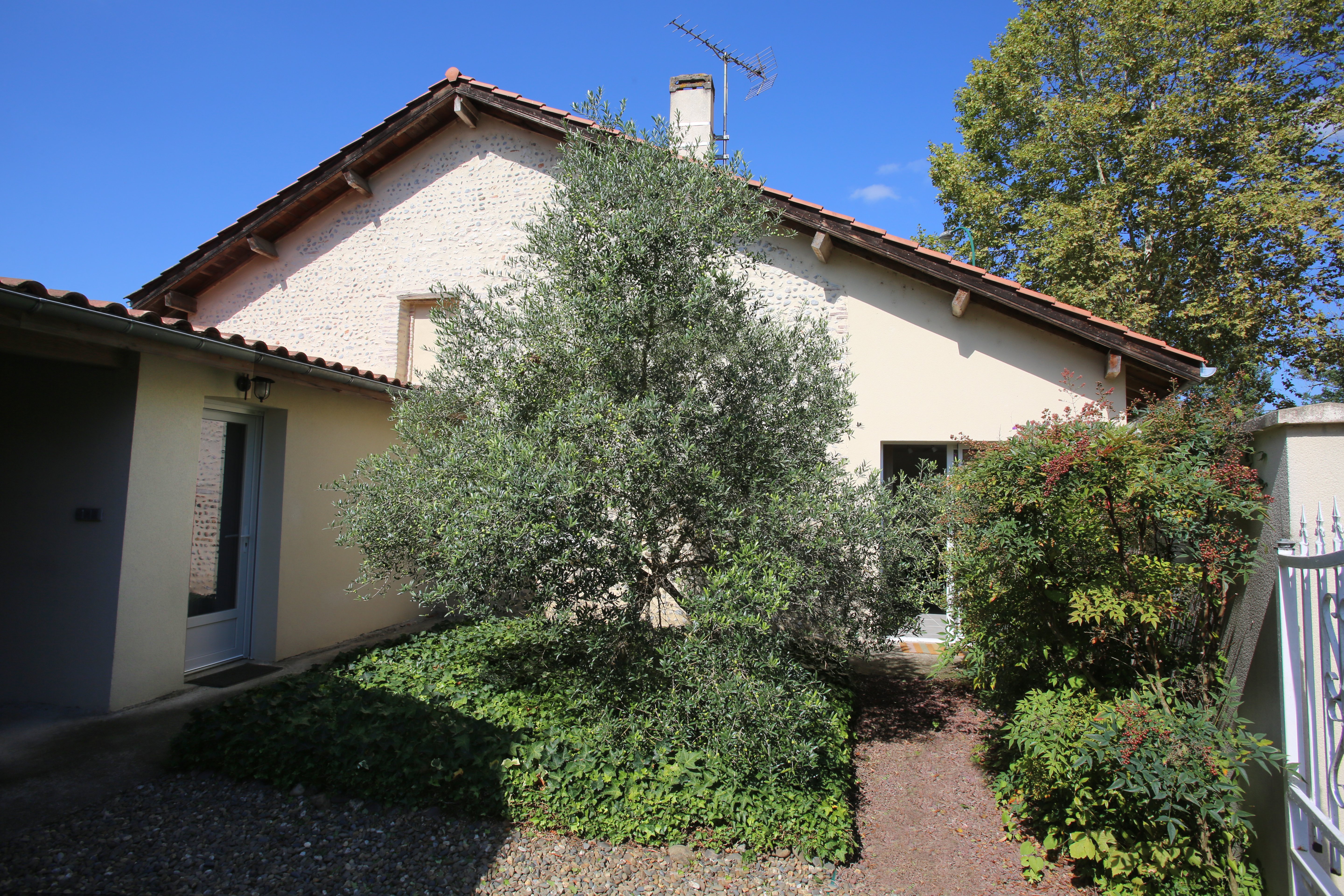 L'Olivier, Cazères-sur-l'Adour - photo 6