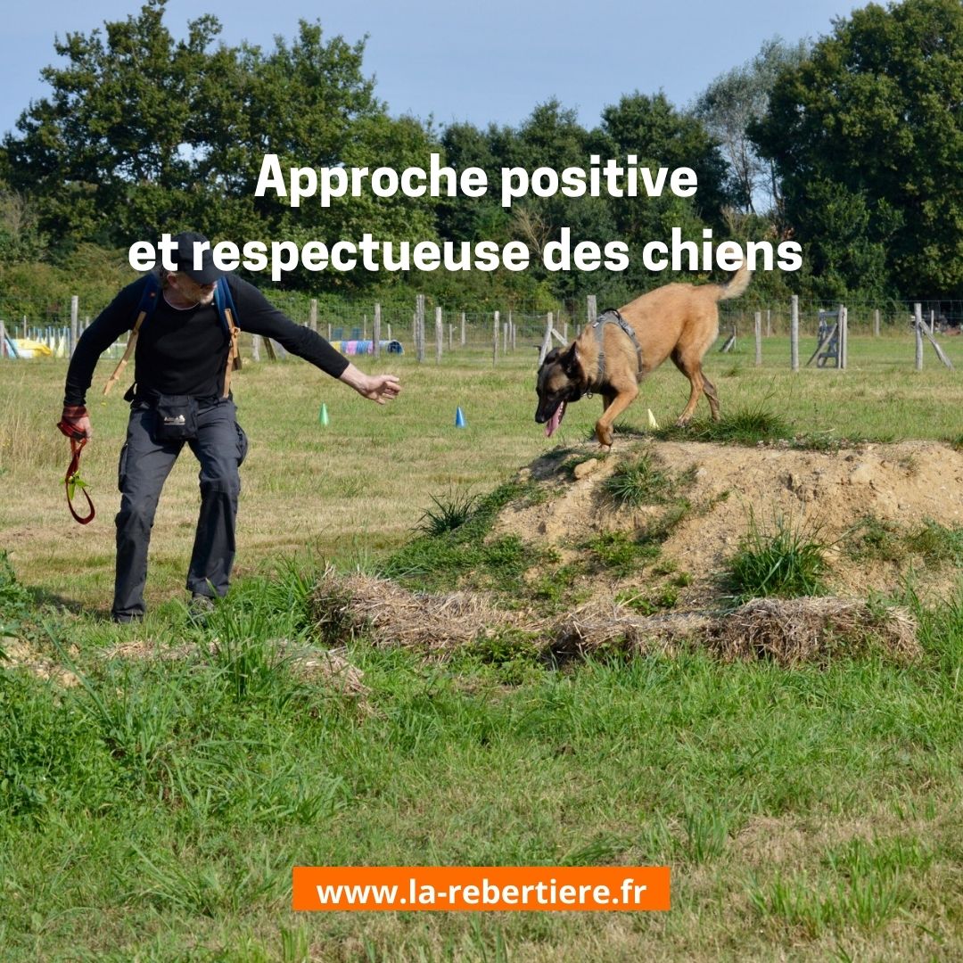 Gîte BoGuss du Parc Canin de la Rebertière - photo 3