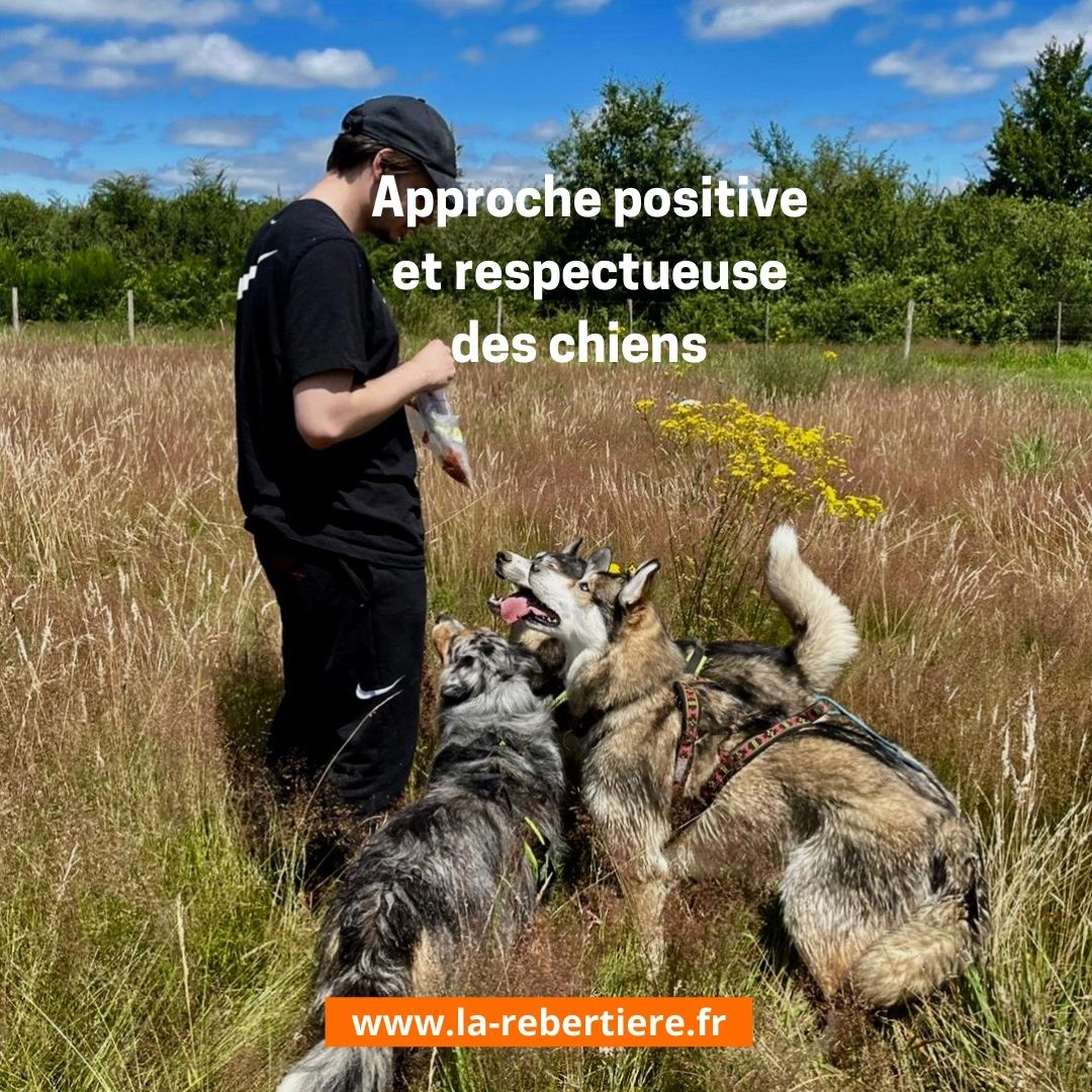 Gîte TiBarny du Parc Canin de la Rebertière - photo 3