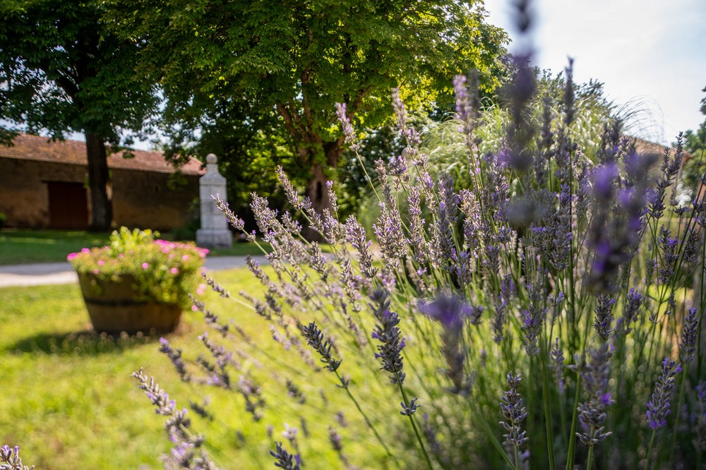 Gîte de Pehillo - La Sapinière, Nérac - photo 48