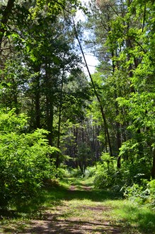Du château de Ruffiac à l'église de Poussignac, Ruffiac - photo 13