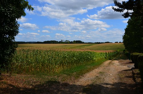 Du château de Ruffiac à l'église de Poussignac, Ruffiac - photo 10