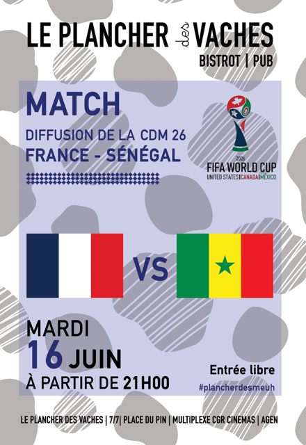 Match de la coupe du monde FRANCE SENEGAL