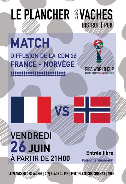 Match de la coupe du monde FRANCE NORVEGE