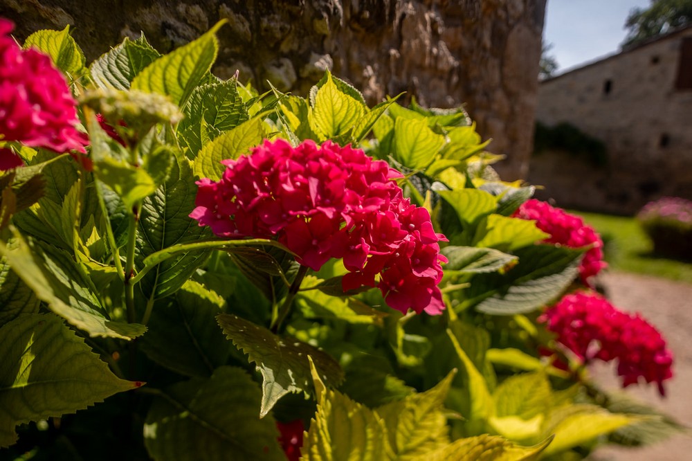 Gîte de Pehillo - La Sapinière, Nérac - photo 50