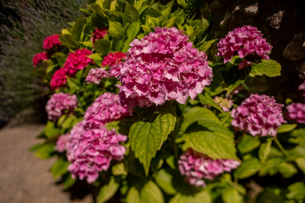 Gîte de Pehillo - La Sapinière, Nérac - photo 11