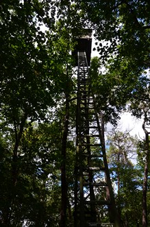 Cocuthmont la vinherona, a l’entremièi de Garona e Gasconha, Cocumont - photo 13