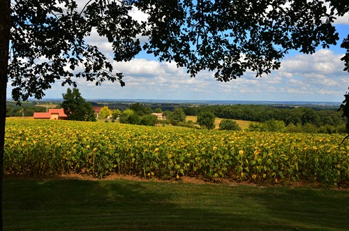 Cocuthmont la vinherona, a l’entremièi de Garona e Gasconha, Cocumont - photo 16