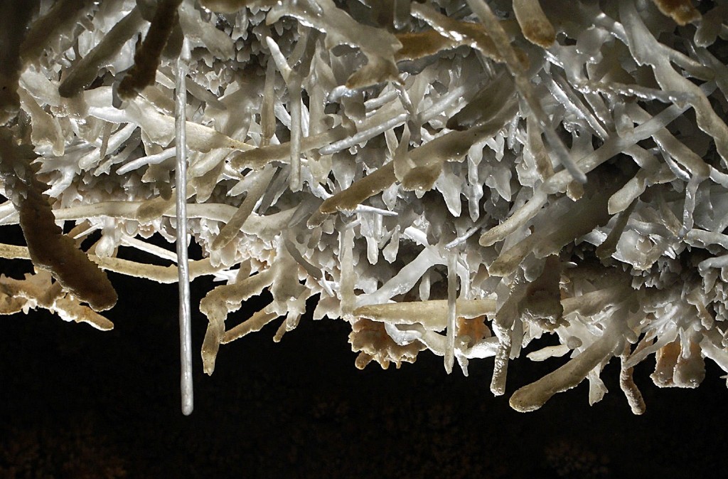 Grotte de Maxange, Le Buisson-de-Cadouin - photo 2