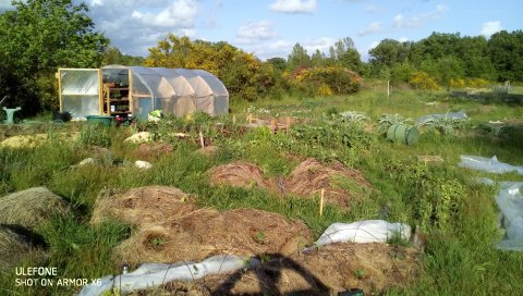 Ferme Shanti - photo 2