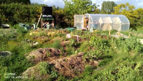 Ferme Shanti - photo 4