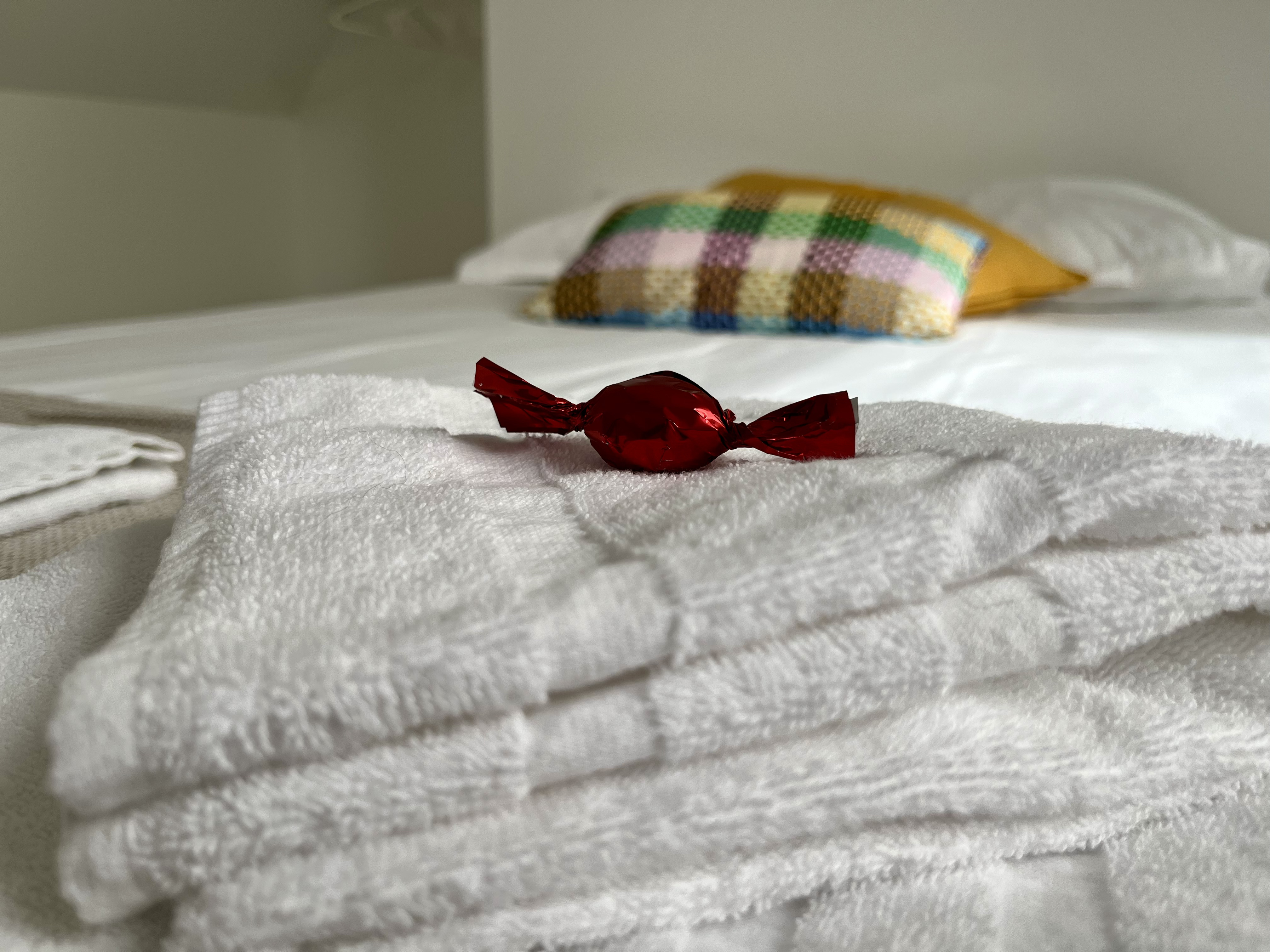 Le Mandragot, Bedous - photo 10