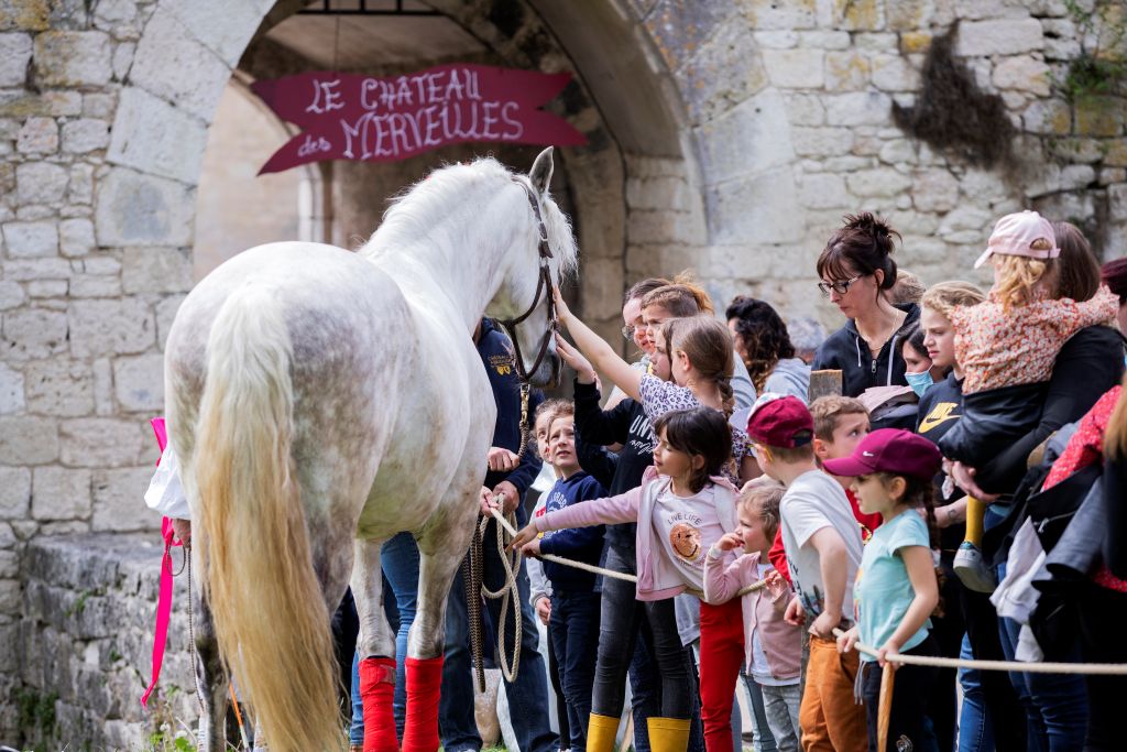 Château de Bridoire, Ribagnac - photo 10