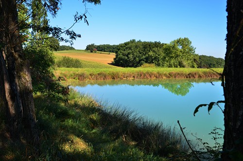 Aubiac, un circuit fleuri au printemps, Aubiac - photo 4
