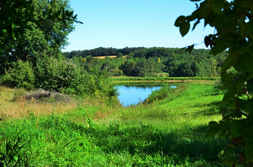 Aubiac, un circuit fleuri au printemps, Aubiac - photo 3