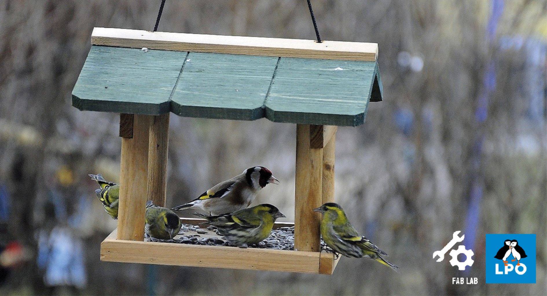 Conférence : Les Oiseaux du Jardin