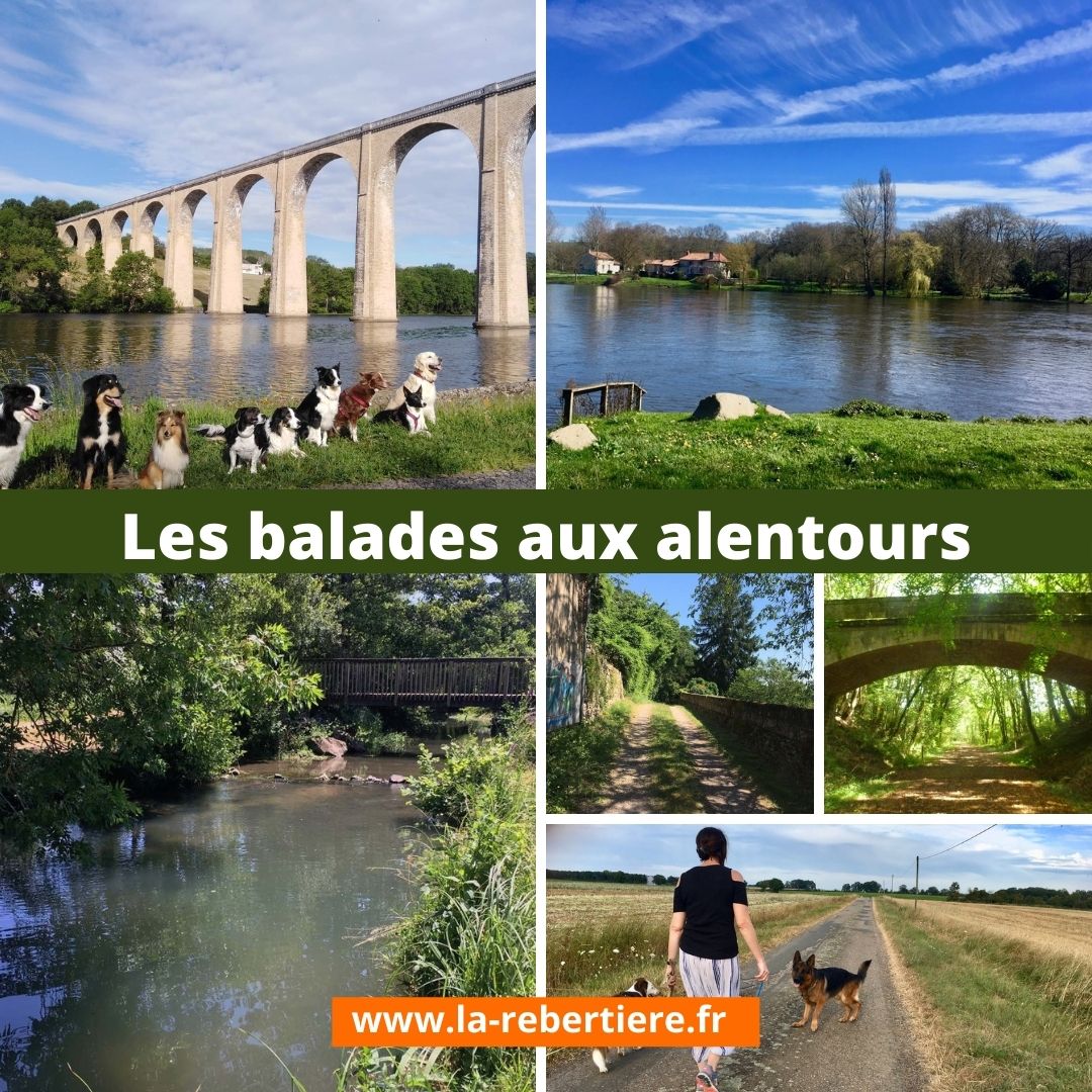 Gîte BoGuss du Parc Canin de la Rebertière, Queaux - photo 10