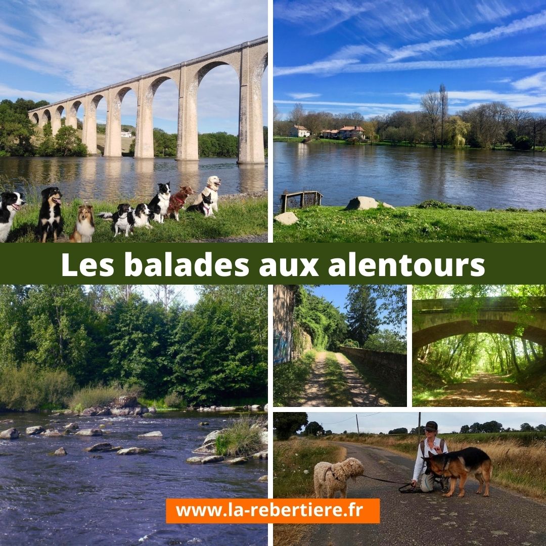 Gîte CrazySam du Parc Canin de la Rebertière, Queaux - photo 7