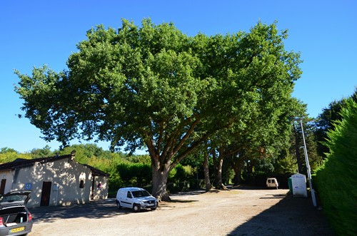 De Xaintrailles à Pompiey, lectures de paysage