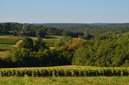 De Xaintrailles à Pompiey, lectures de paysage, Xaintrailles - photo 15