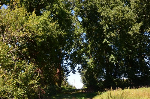 Lannes, la balade de Gachot, Lannes - photo 10