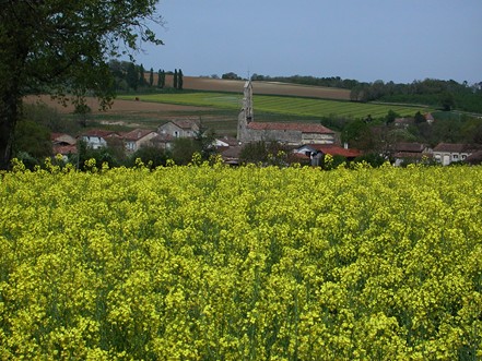 Lannes, la balade de Gachot, Lannes - photo 5