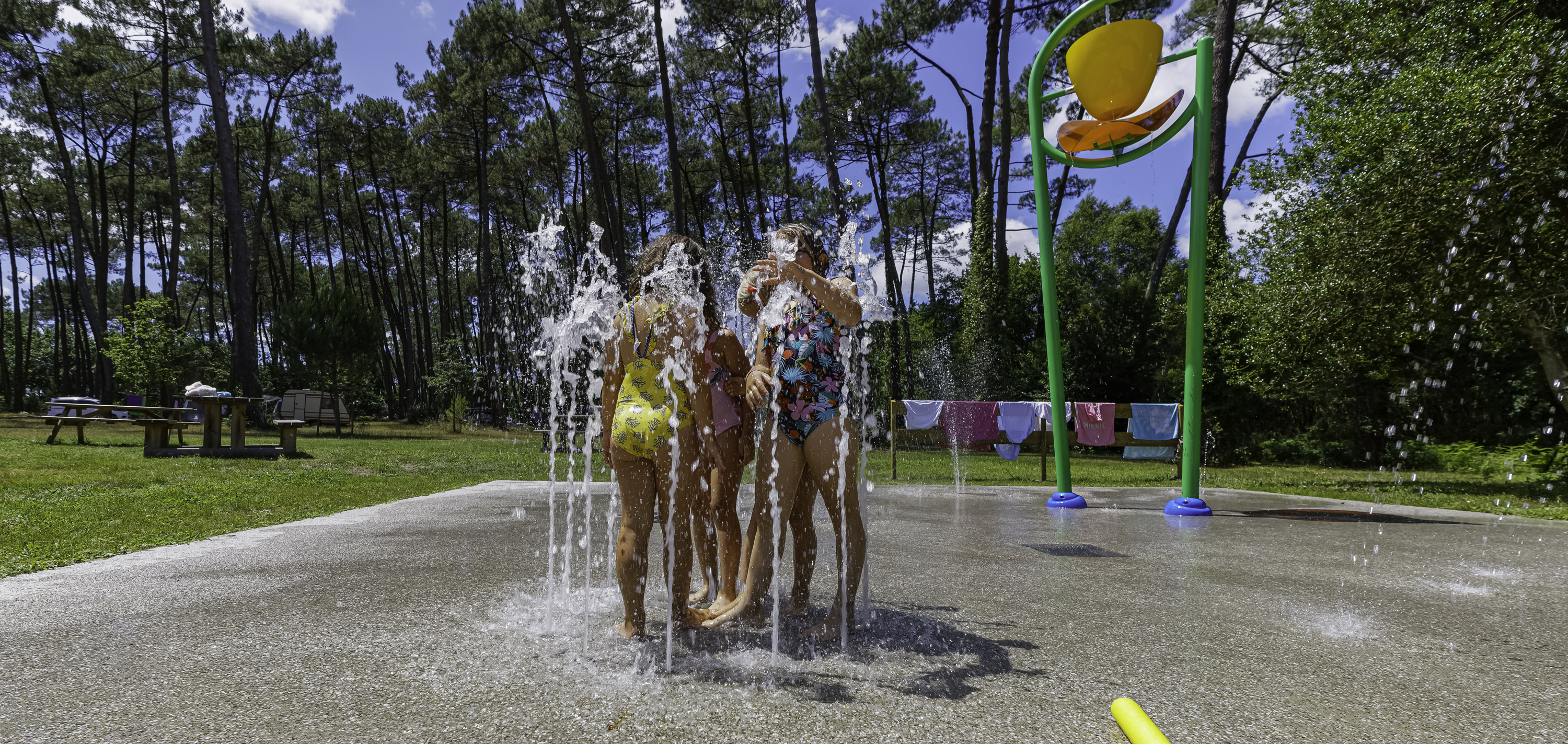 Aire naturelle La Téouleyre, Saint-Julien-en-Born - photo 10