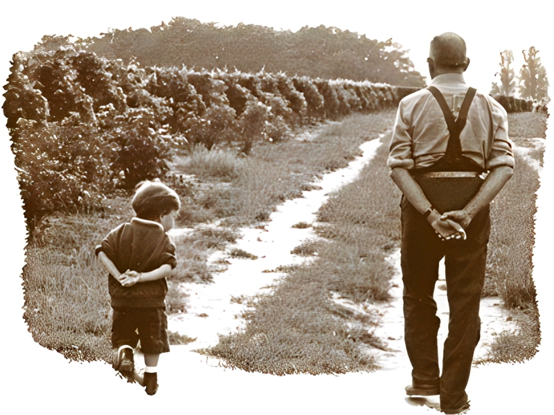 Château La Guillaumette