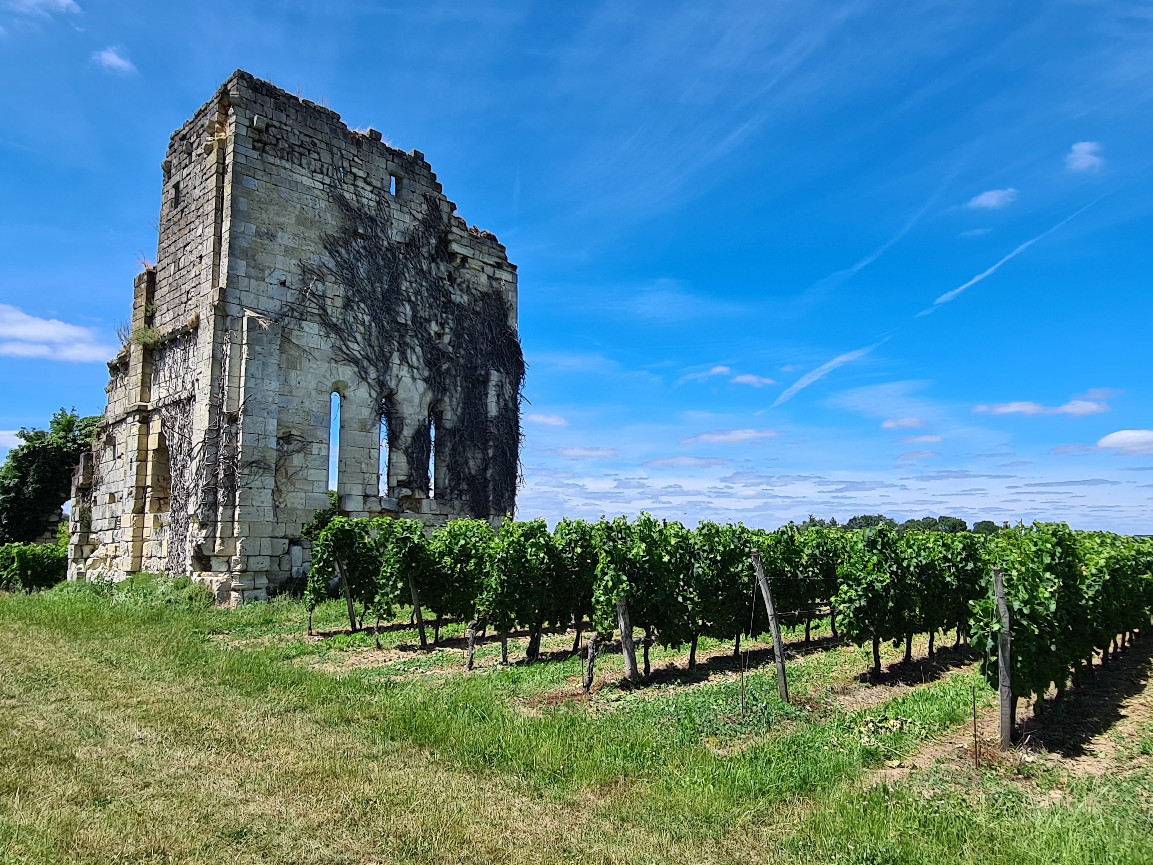 Vignobles Gabard - Château La Croix de Queynac