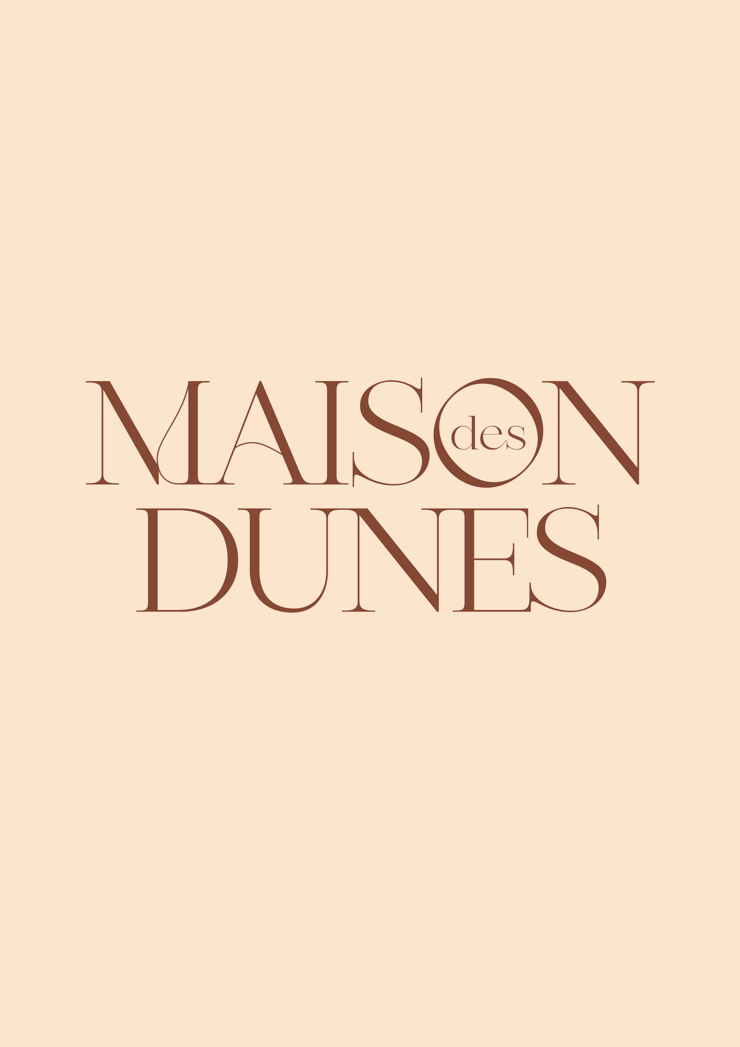 Maison des Dunes, Saint-Julien-en-Born - photo 13