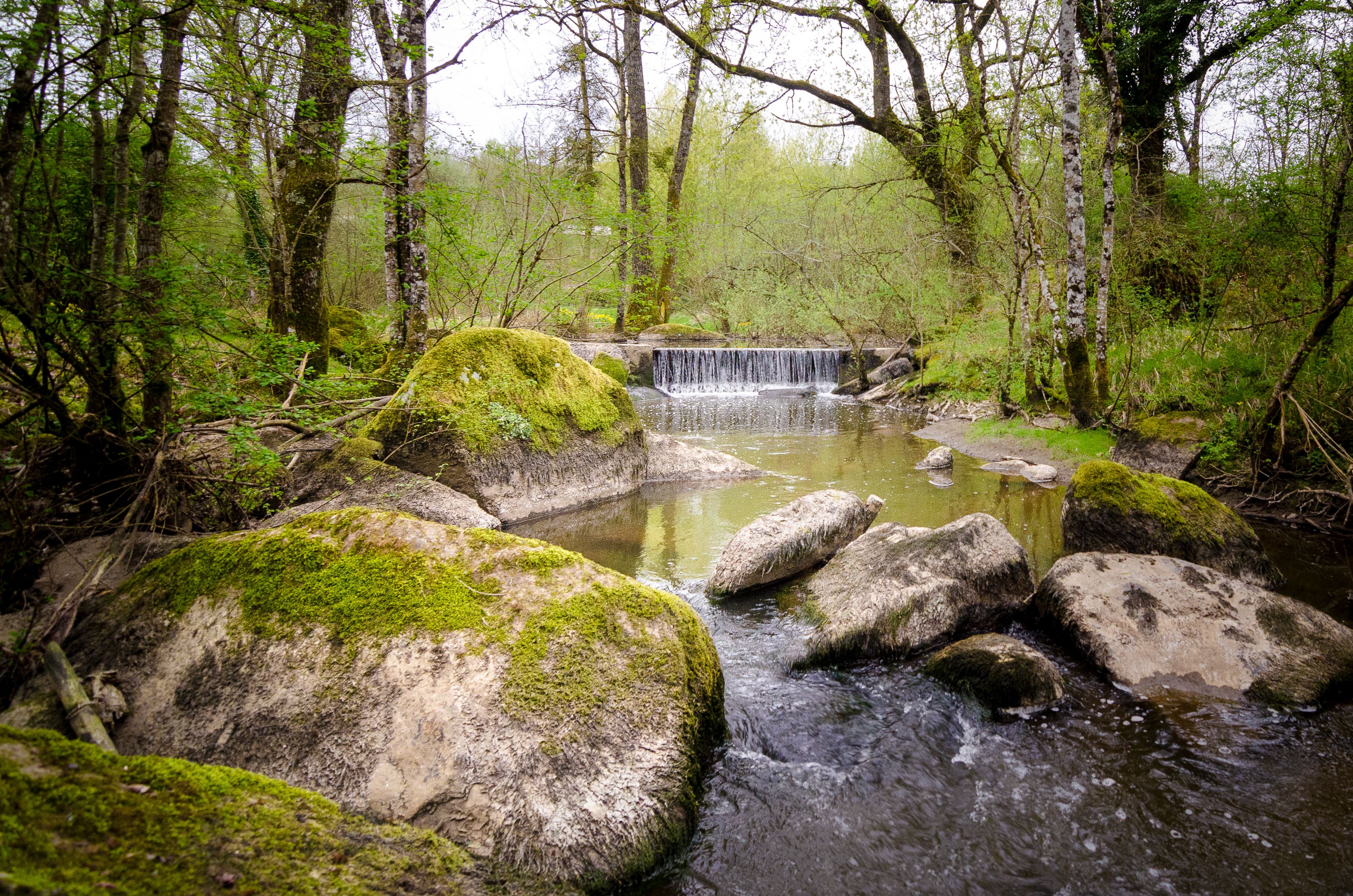 De la vallée de la Vonne à Bois Pouvreau, Ménigoute - photo 8