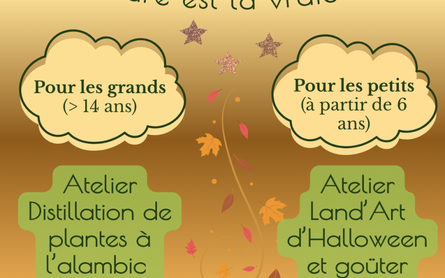 Image de présentation du lieu
