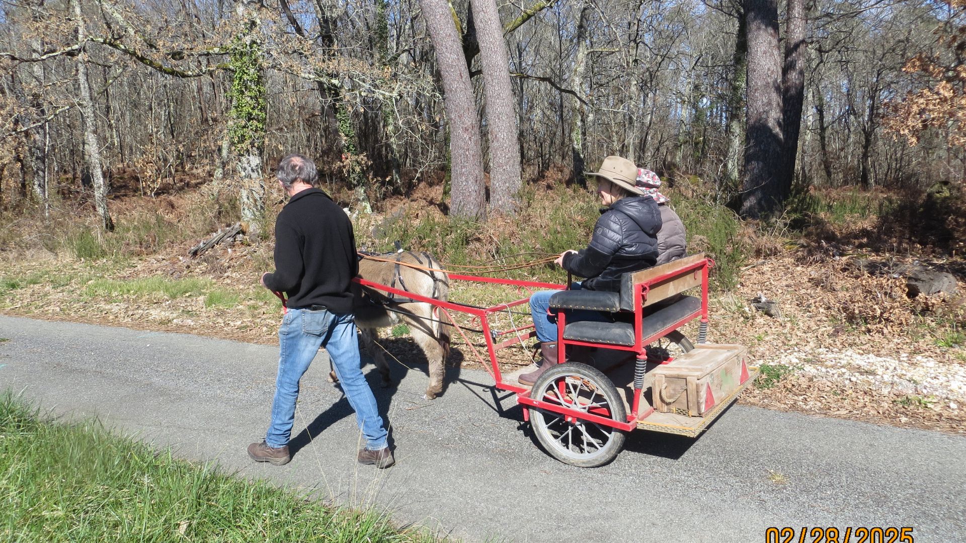 Association les petits ânes Vergt