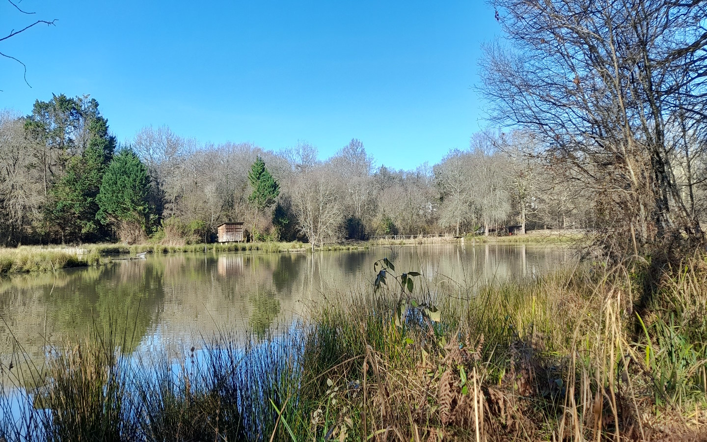 Réserve Naturelle de Chourroumillas, Arcangues - photo 5