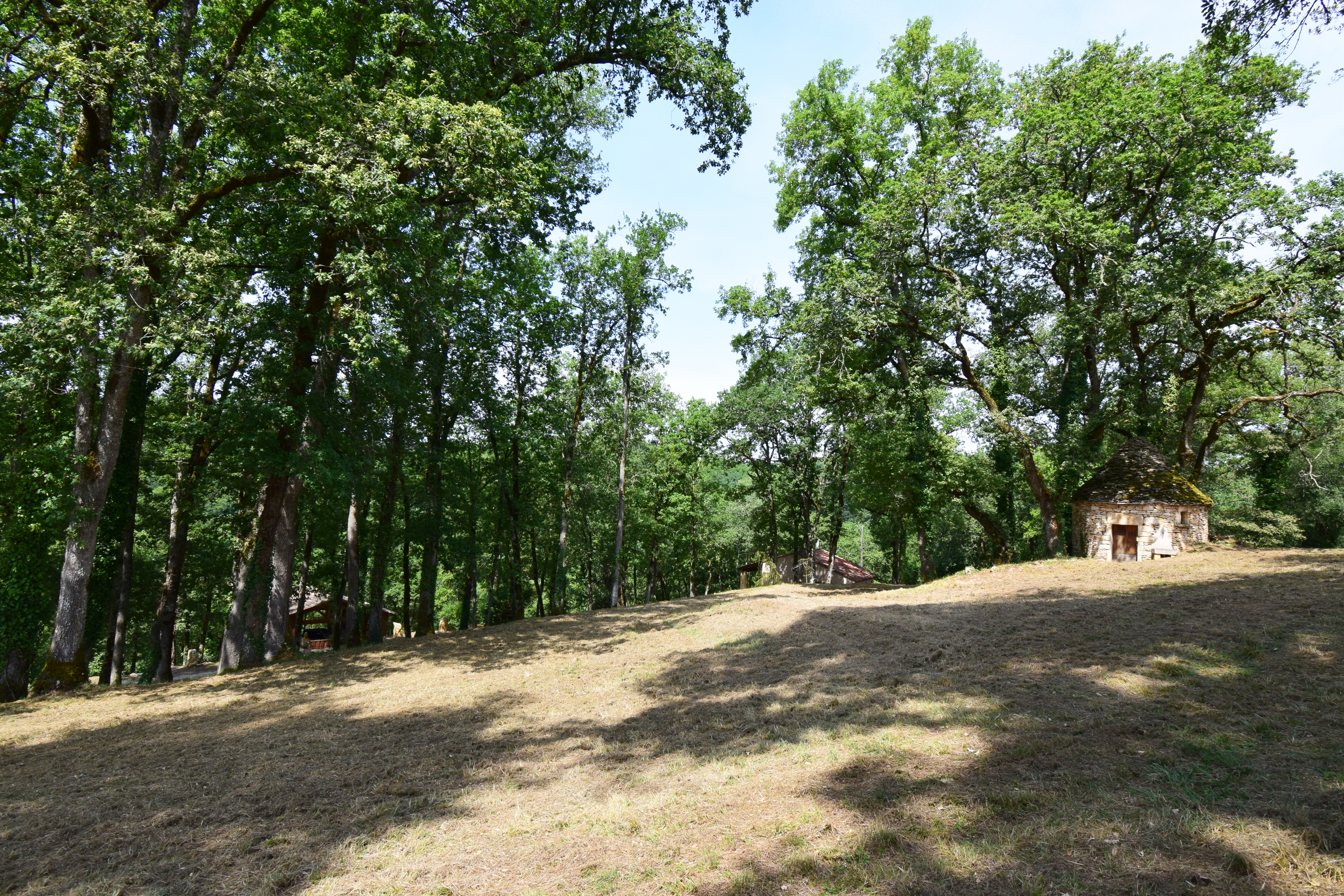 Les Résidences du Mayne - le Chêne, Blanquefort-sur-Briolance - photo 4