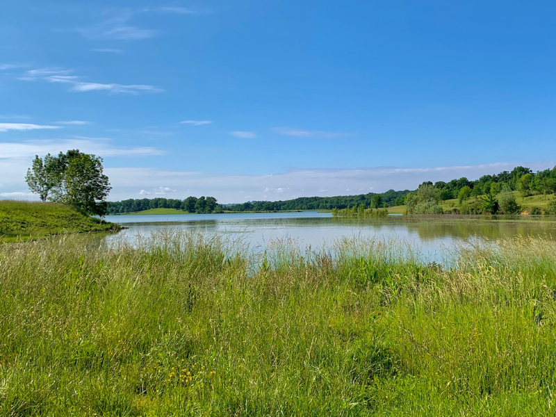 Lac du Brayssou - Pêche et randonnée pédestre.