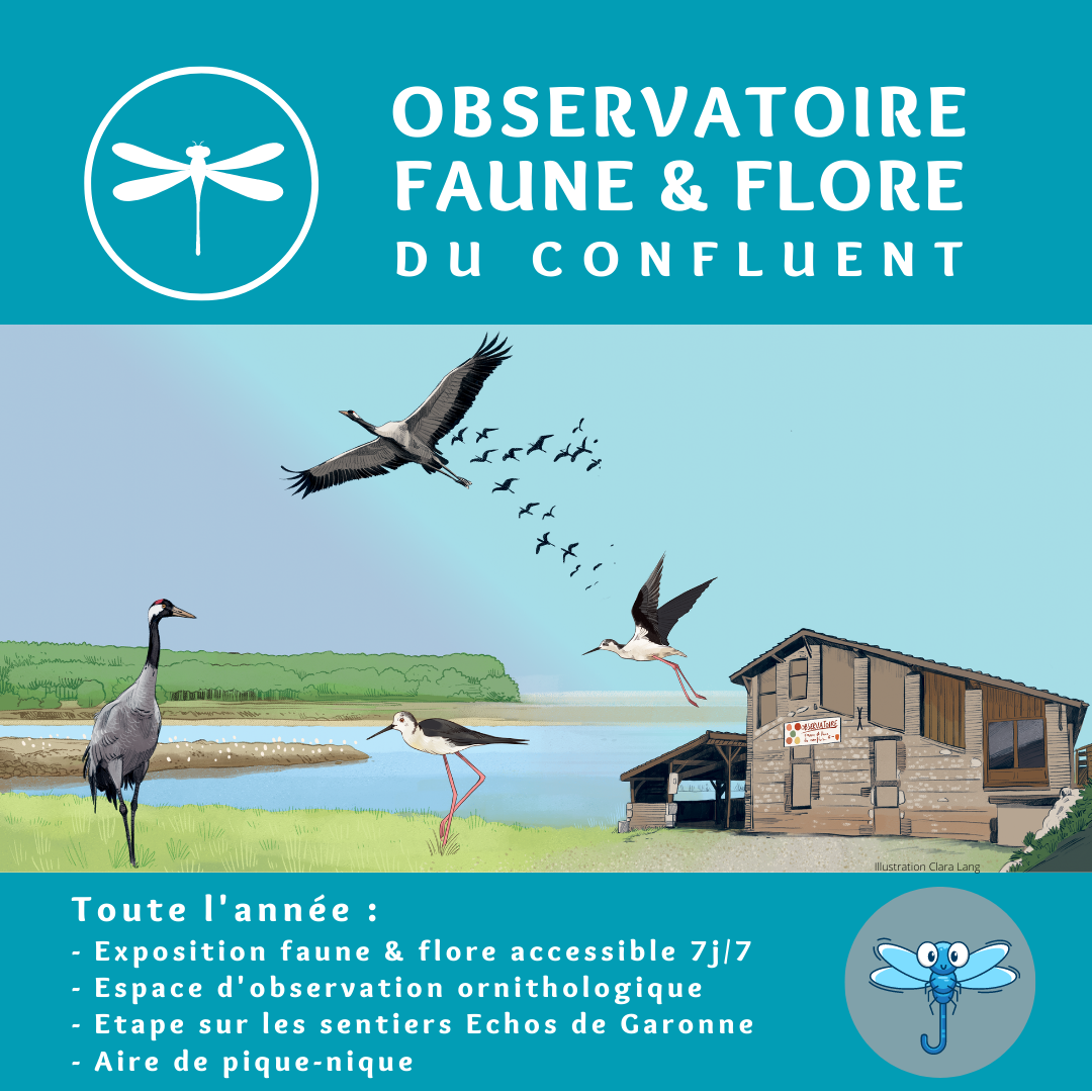Aire de pique-nique de l'Observatoire de la faune et de la flore