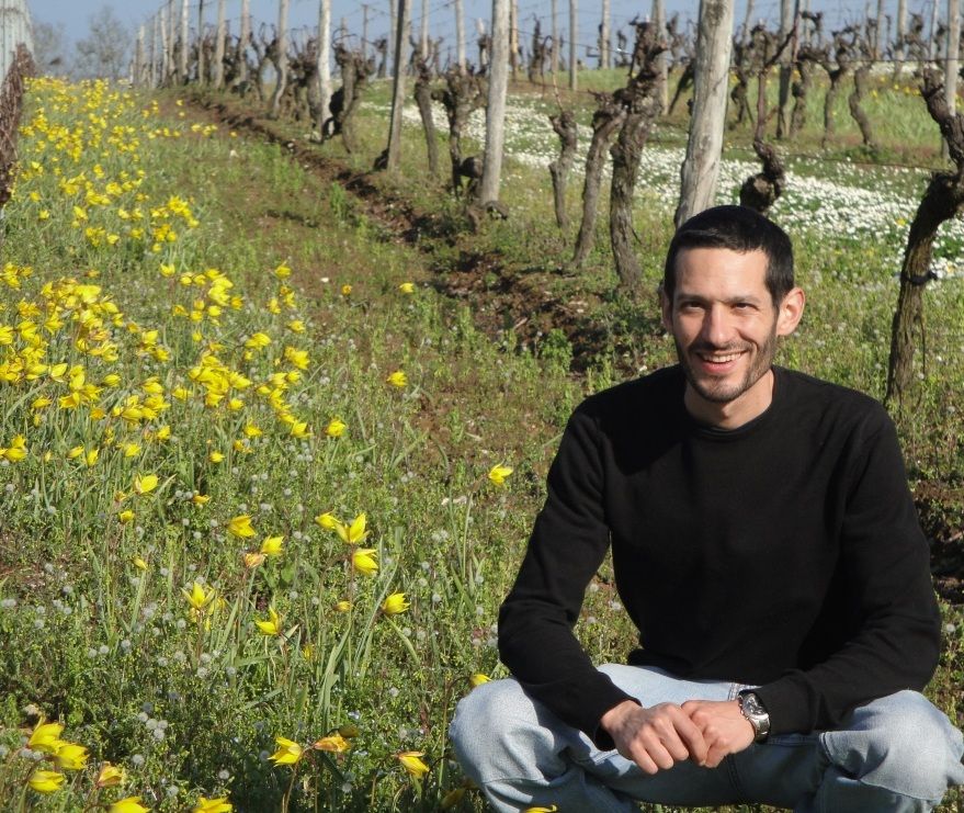 Château Le Terme Blanc