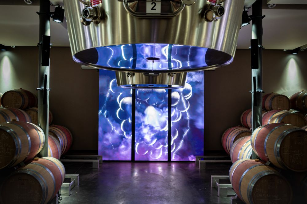 Château La Fleur de Boüard - photo 4