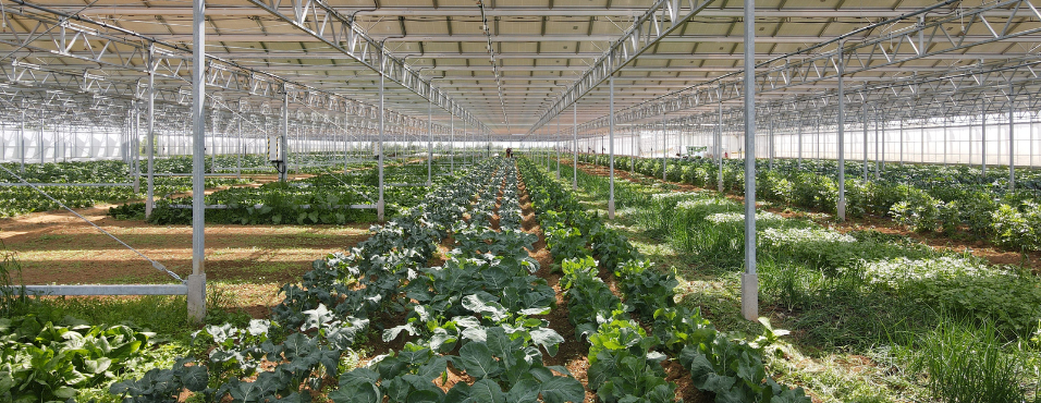 Serres de La Guittière - photo 2