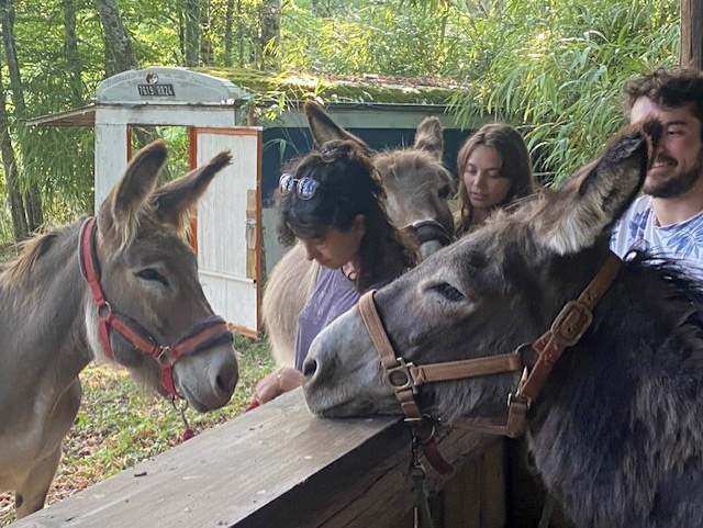 Aux Âneries de Dordonie - photo 3