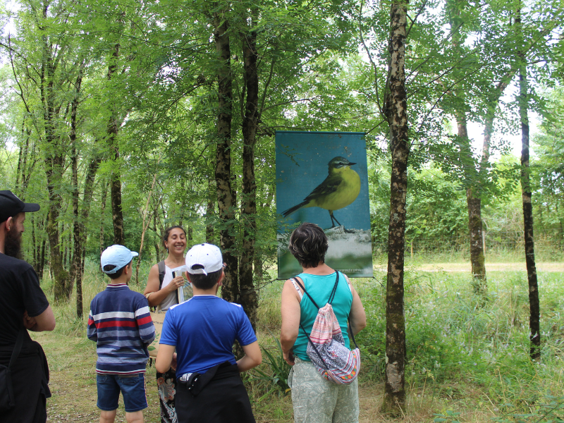 Mardi famille à Terres d'Oiseaux, Braud-et-Saint-Louis - photo 2