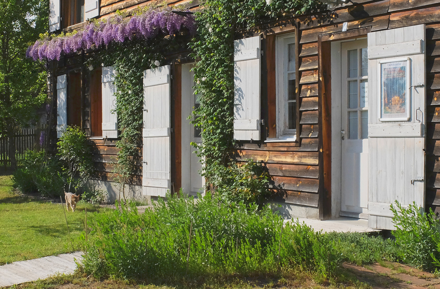 Maison des 3 Poiriers - Galerie de photographies de la forêt Landaise et de l’Océan.