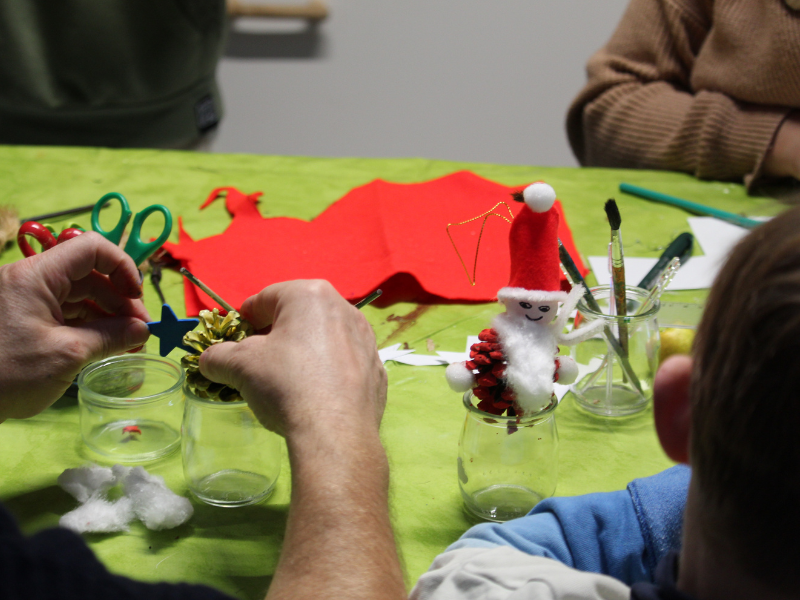 Décoration de Noël naturelle à Terres d'Oiseaux, Braud-et-Saint-Louis - photo 3