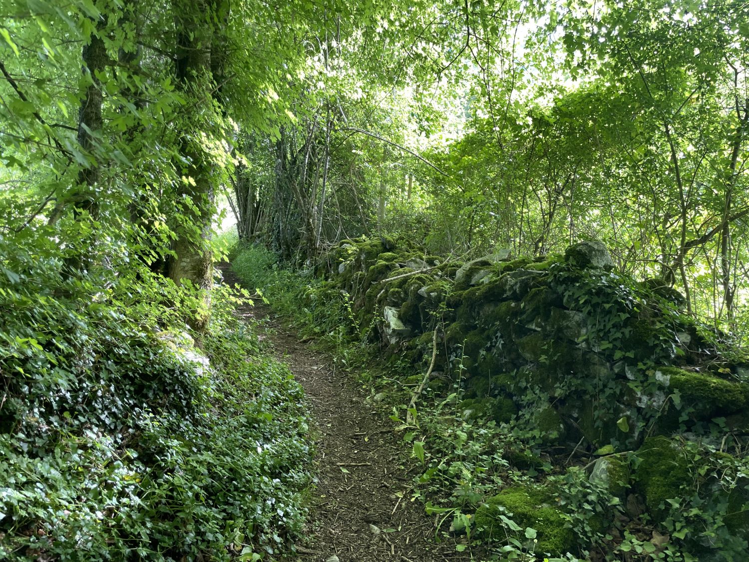 N°28 Chemin d'Aulet, Accous - photo 6