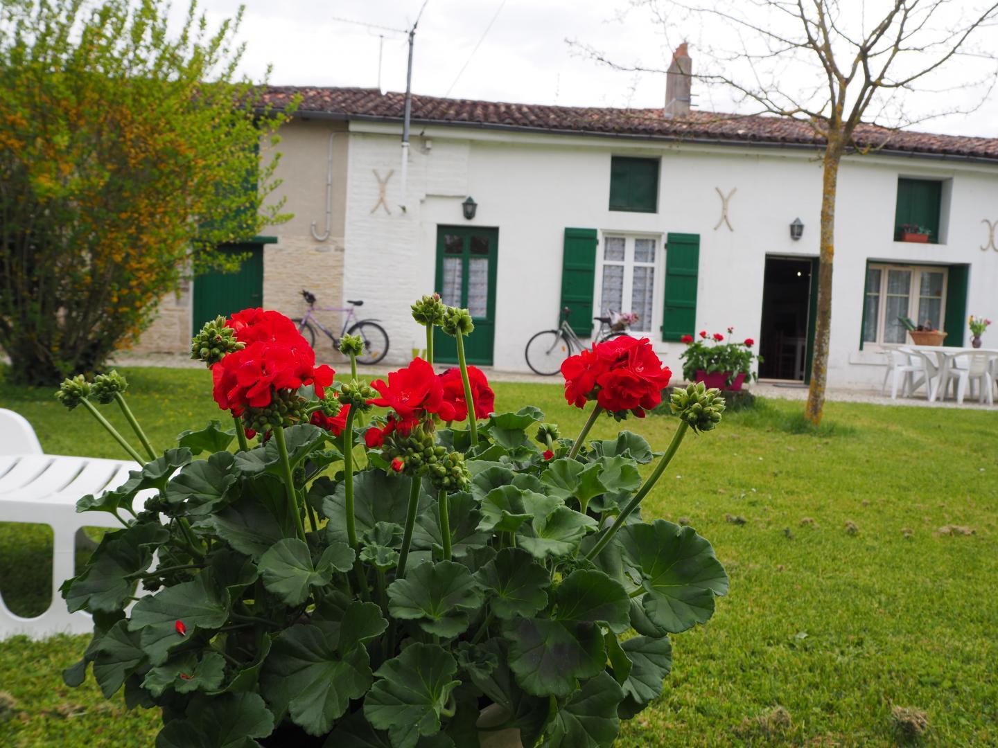 Gîte de La Ferme (G 246) - Gîtes du Moulin - photo 5