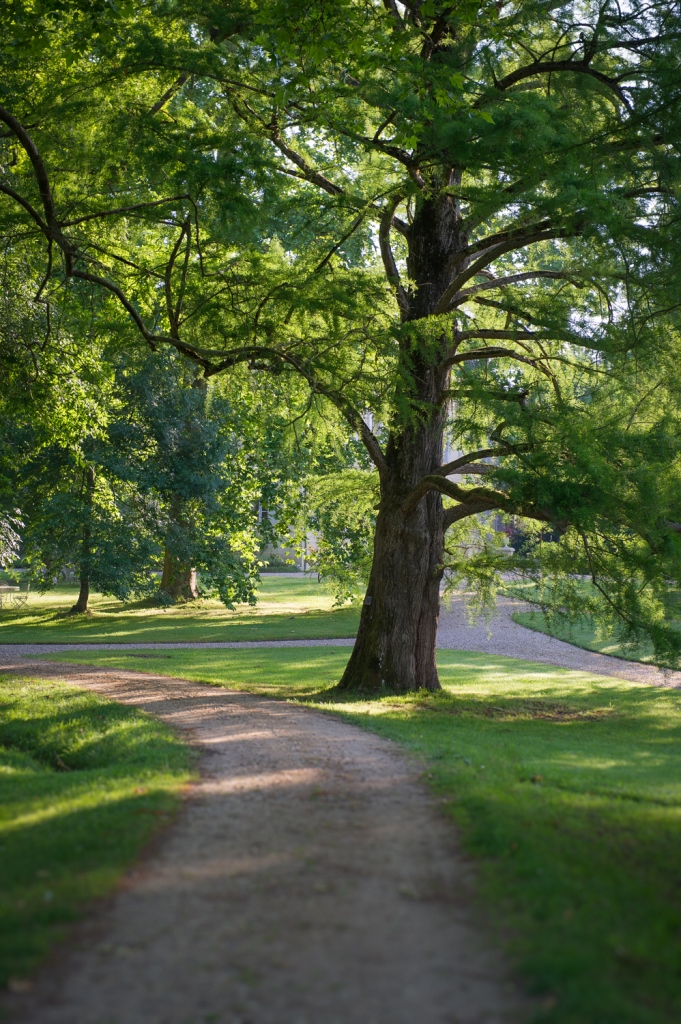 Parc du Château Siaurac, Néac