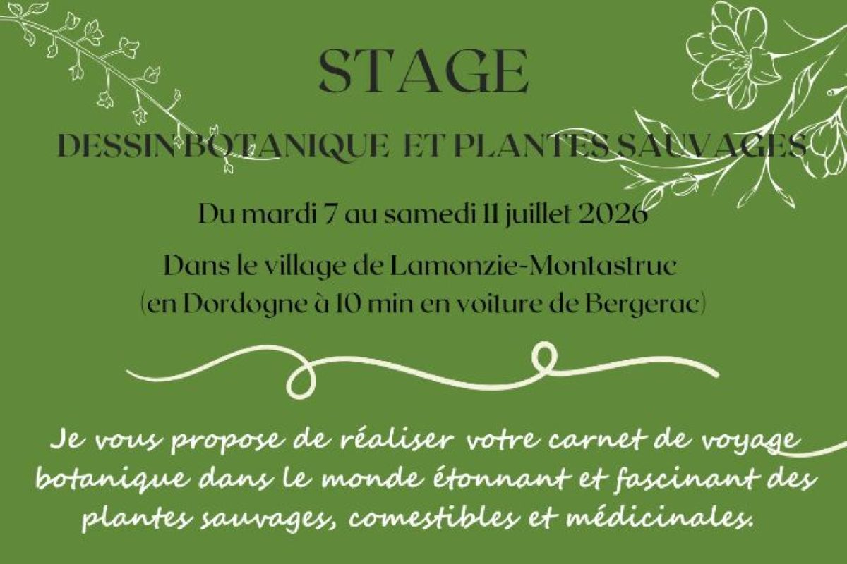 Stage dessin botanique et plantes sauvages — visuel événement