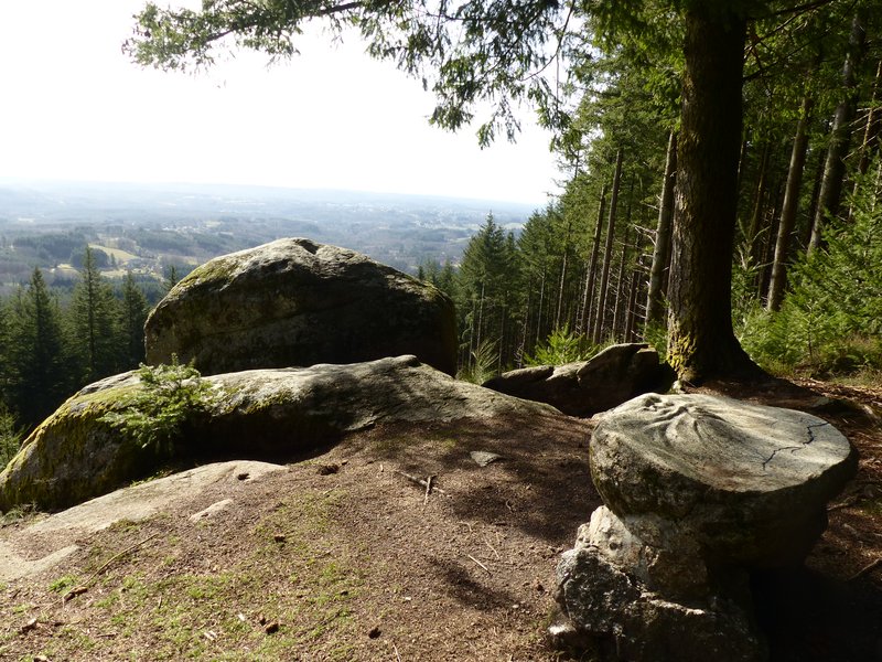 Le Sentier du Puy de la Tourte