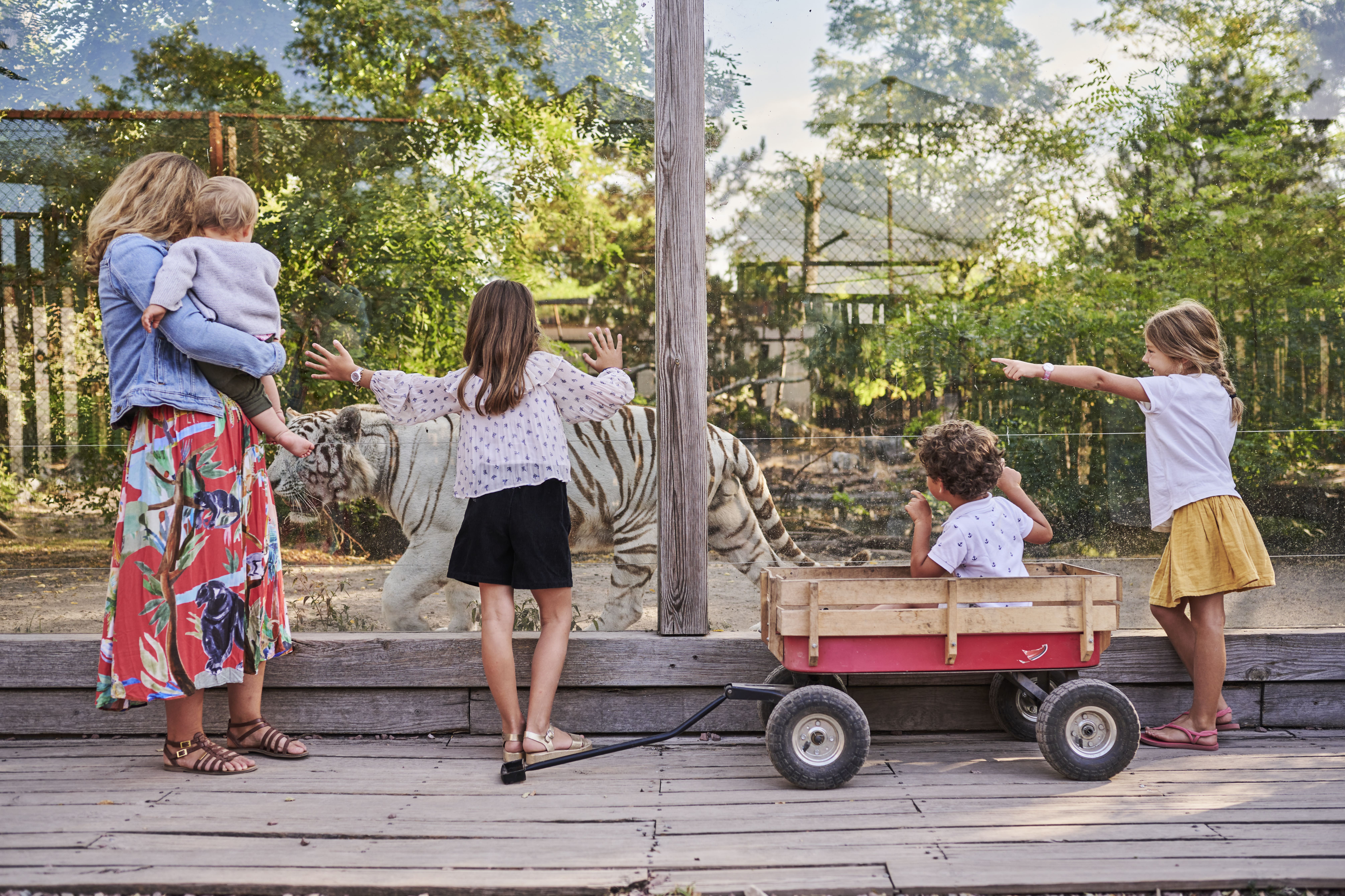 Zoo de Bordeaux-Pessac